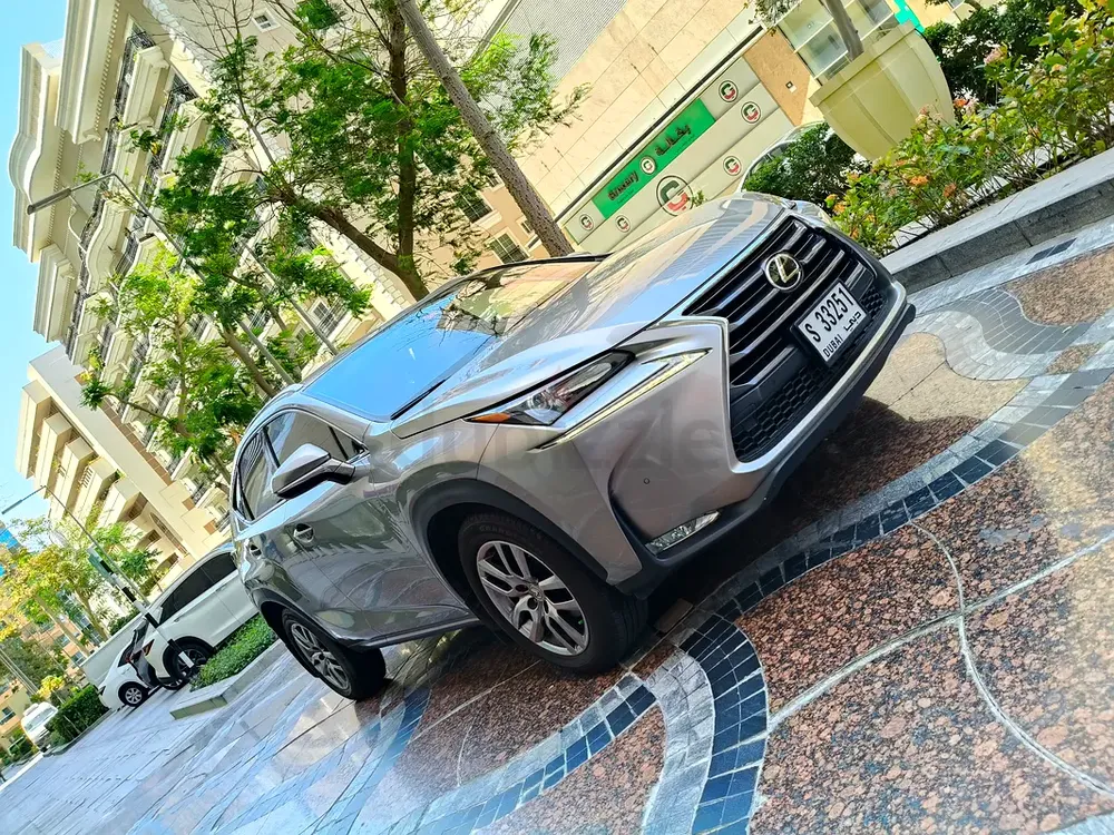 Lexus NX200tGulf Space All Original paint No Accident - Image 4