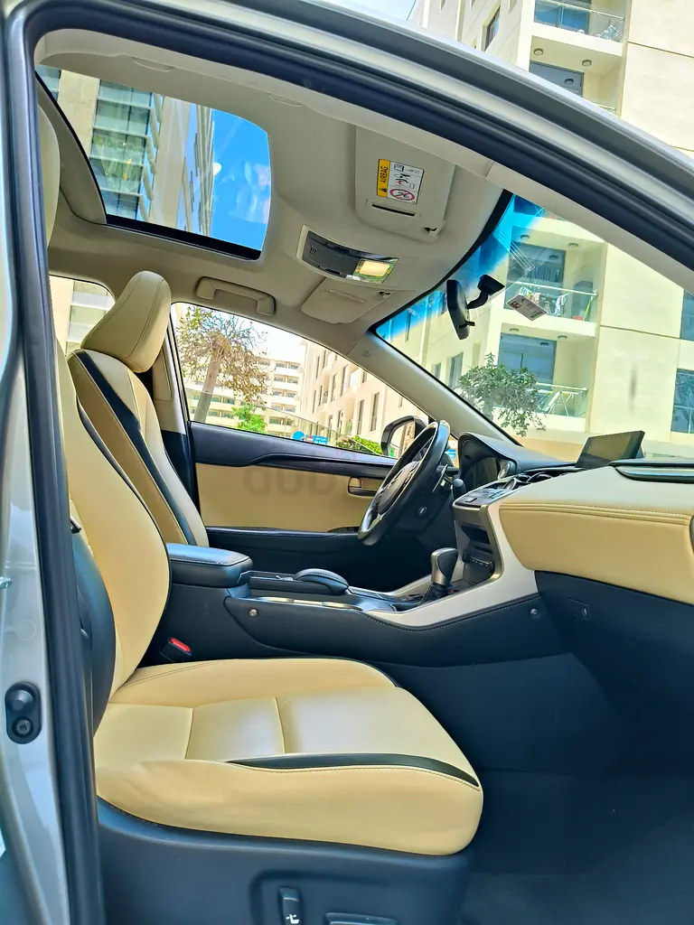 Lexus NX200tGulf Space All Original paint No Accident - Image 5