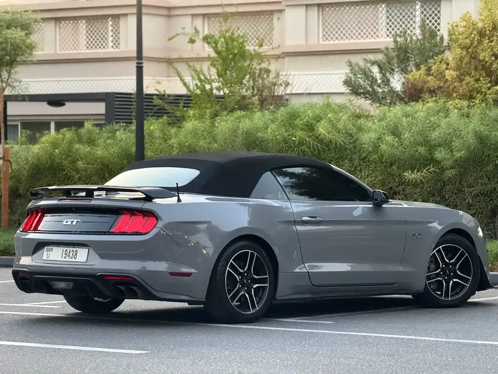 Ford Mustang 2019 GT V8  | In perfect condition | Shelby Kit | - Image 6