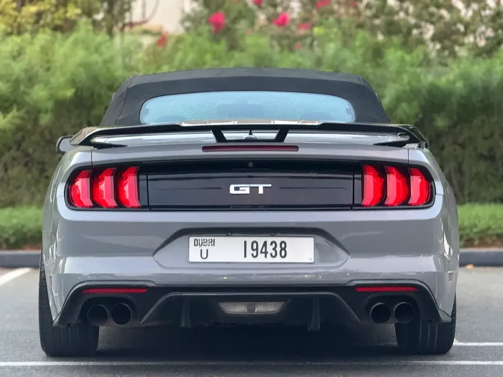 Ford Mustang 2019 GT V8  | In perfect condition | Shelby Kit | - Image 7