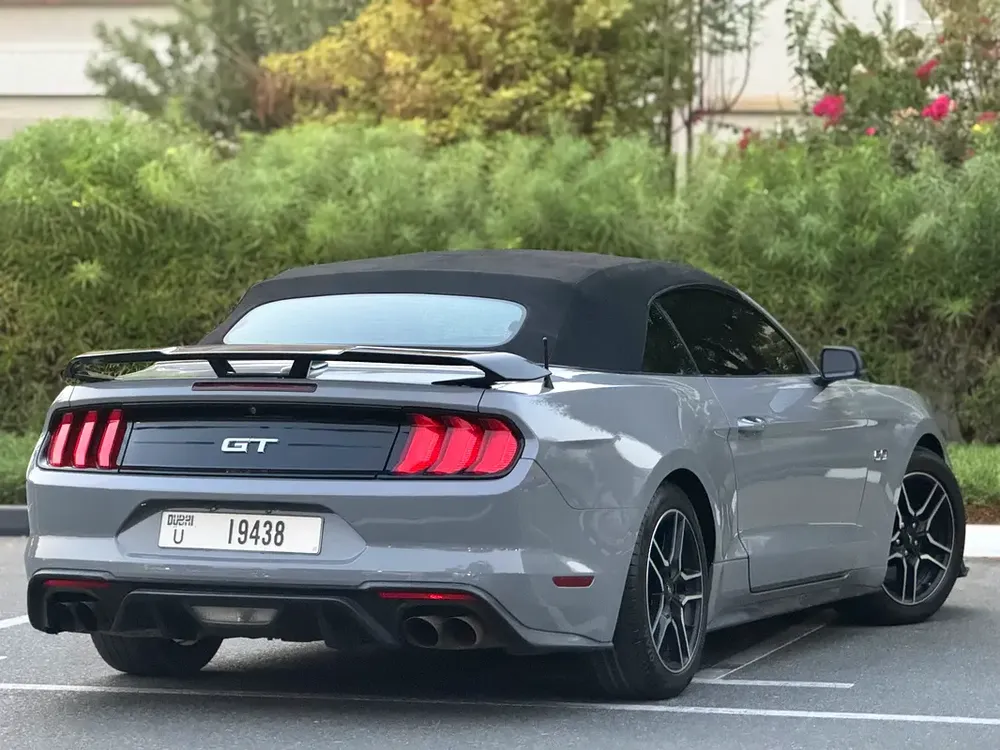 Ford Mustang 2019 GT V8  | In perfect condition | Shelby Kit | - Image 8
