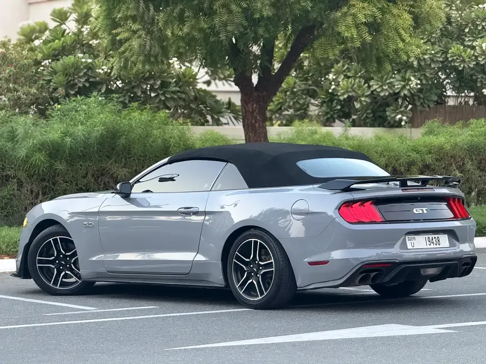 Ford Mustang 2019 GT V8  | In perfect condition | Shelby Kit | - Image 9
