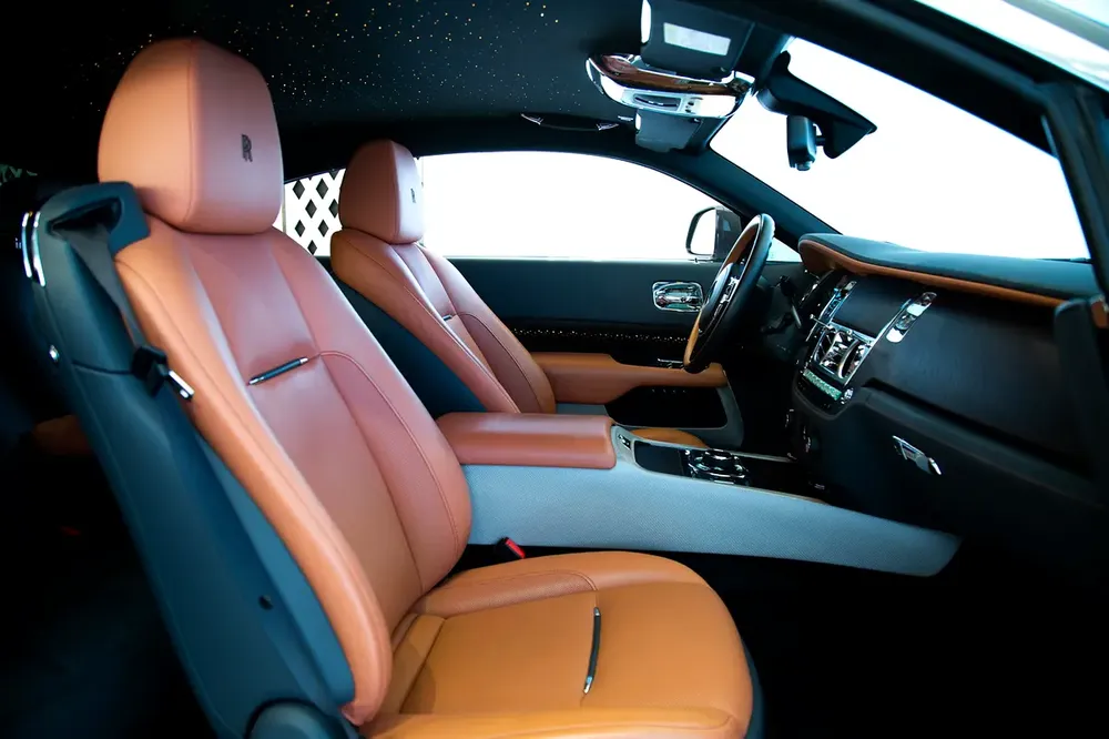 1 OF 55 WORLDWIDE | LUMINARY COLLECTION | 2 YEARS WARRANTY + SERVICE | STARLIGHT | BESPOKE AUDIO - Image 13