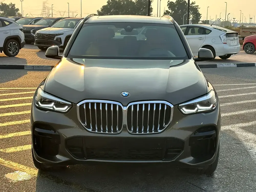 BMW X5 Xdrive40I - Image 13