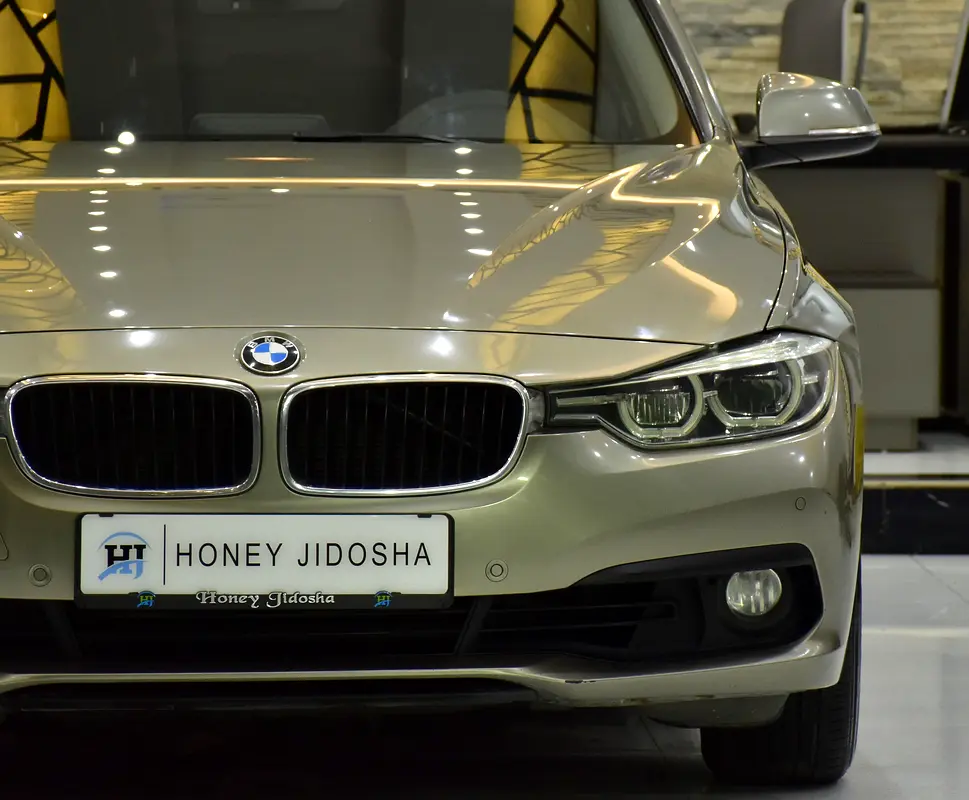 SERVICE HISTORY DATA AVAILABLE! BMW 318i ( 2016 Model ) in Brown Color GCC Specs - Image 4