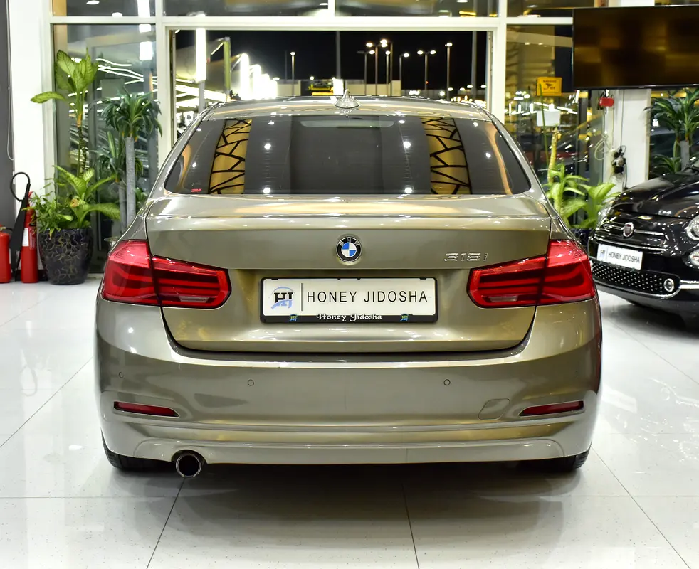SERVICE HISTORY DATA AVAILABLE! BMW 318i ( 2016 Model ) in Brown Color GCC Specs - Image 5