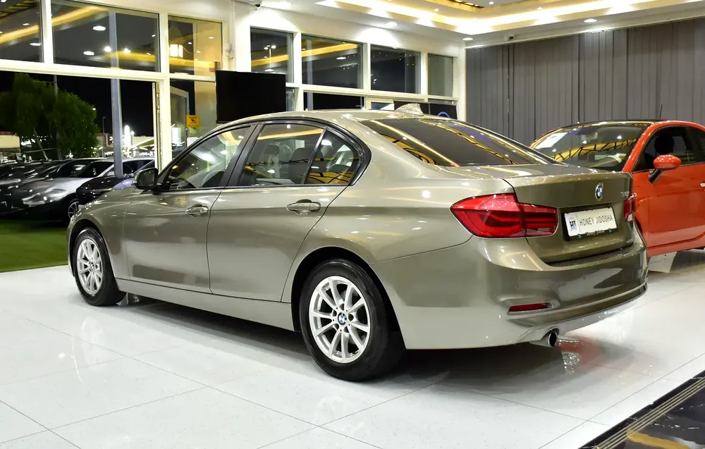 SERVICE HISTORY DATA AVAILABLE! BMW 318i ( 2016 Model ) in Brown Color GCC Specs - Image 7