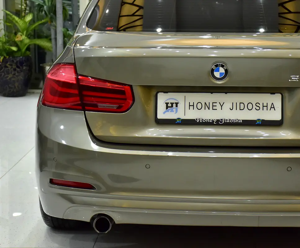 SERVICE HISTORY DATA AVAILABLE! BMW 318i ( 2016 Model ) in Brown Color GCC Specs - Image 8
