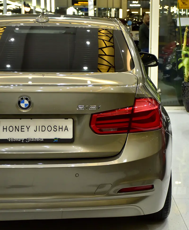SERVICE HISTORY DATA AVAILABLE! BMW 318i ( 2016 Model ) in Brown Color GCC Specs - Image 9