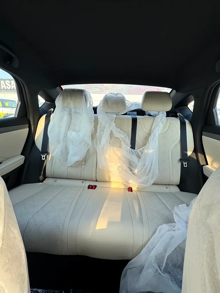 Brand New BYD Qin Plus Plug in hybrid - Image 9