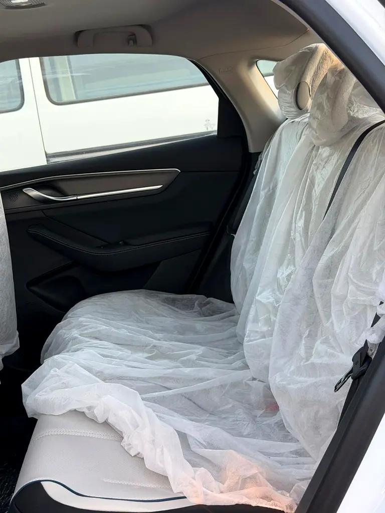 2025 BYD Destroyer 05 55 Luxury Edition With Sunroof - Chinese Specs - Image 10