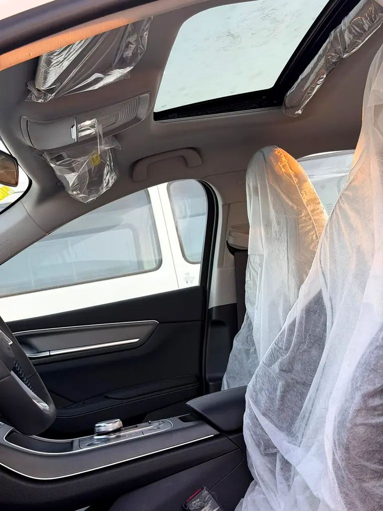 2025 BYD Destroyer 05 55 Luxury Edition With Sunroof - Chinese Specs - Image 8
