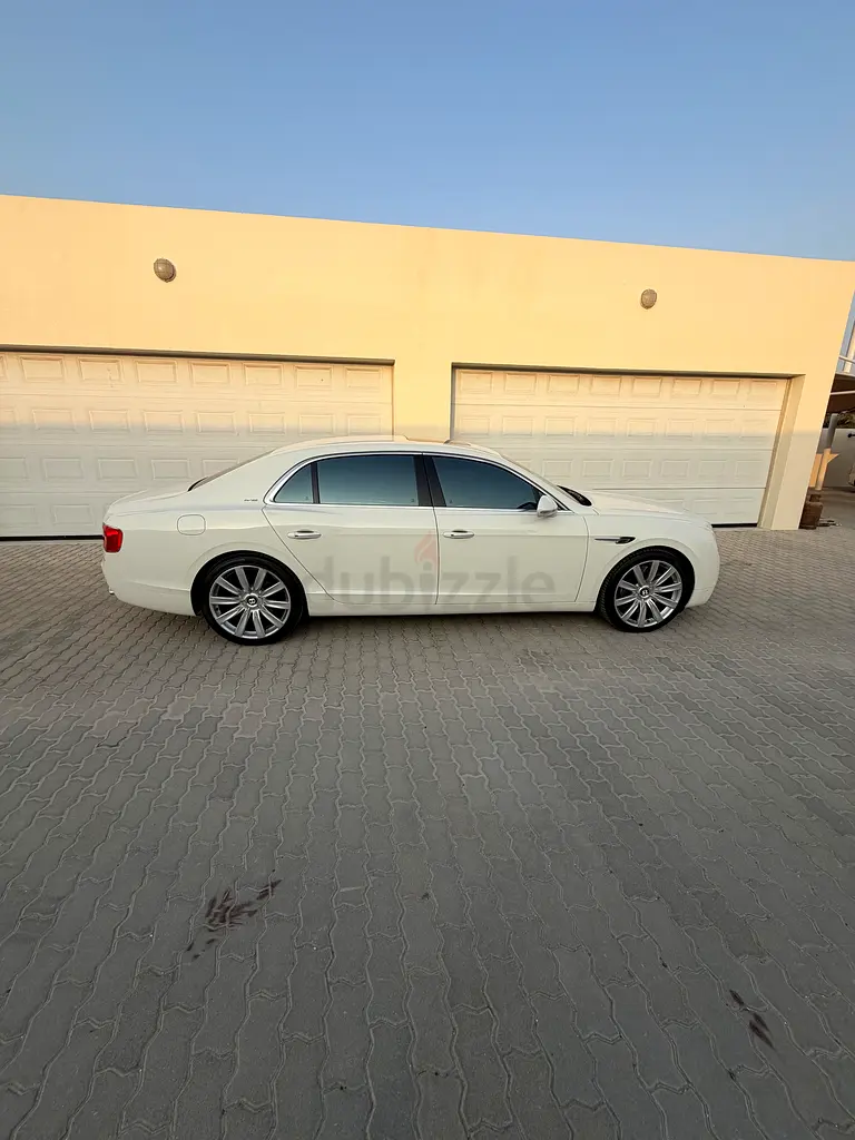 Dubai nad alshaba2 - Image 12