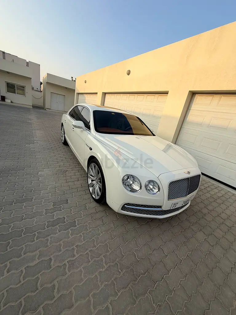 Dubai nad alshaba2 - Image 13