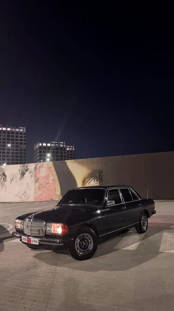 W123 - Image 10