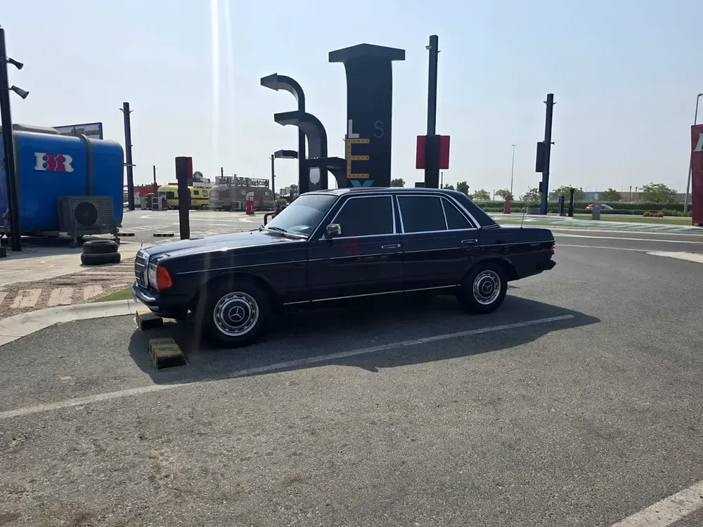 W123 - Image 6