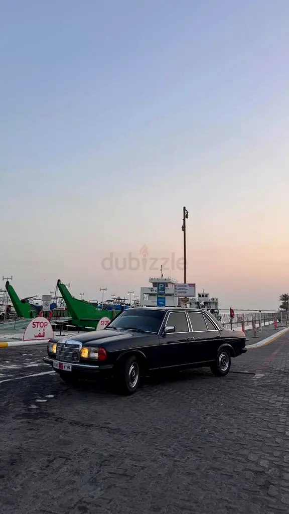 W123 - Image 8