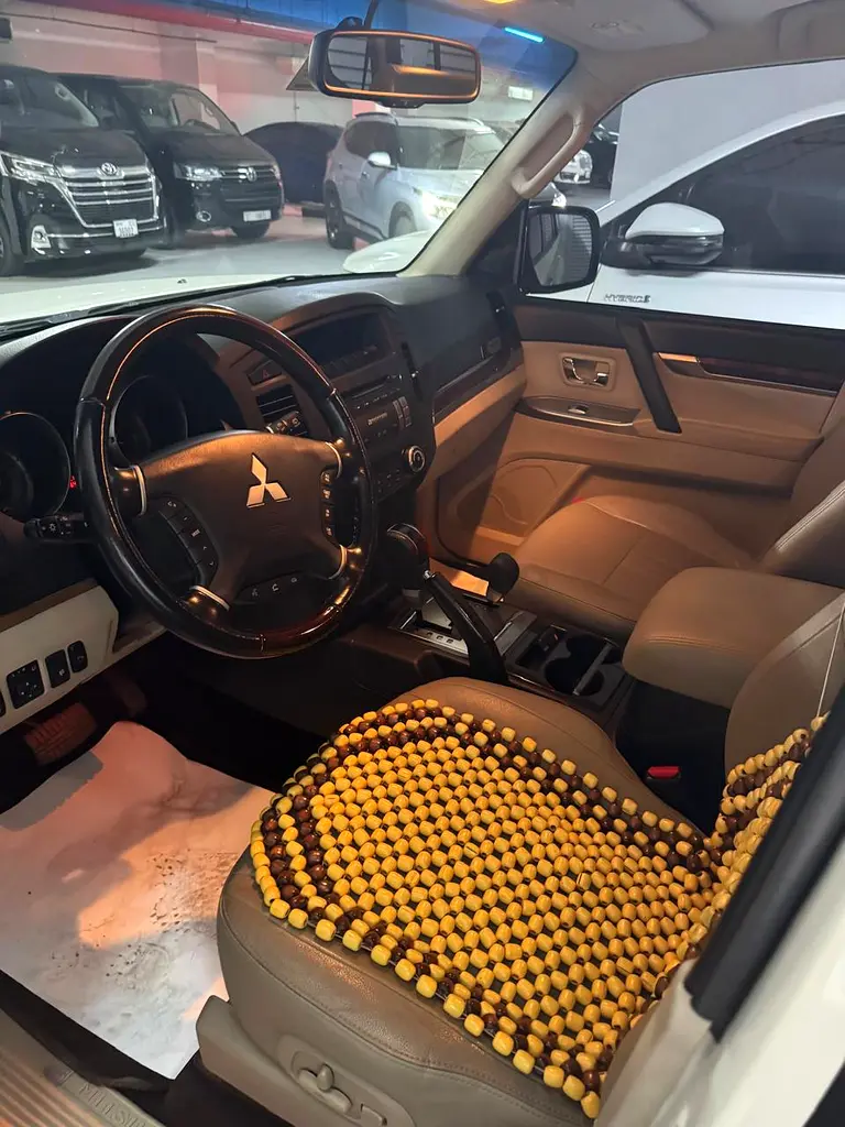 Pajero Platinum - Image 4