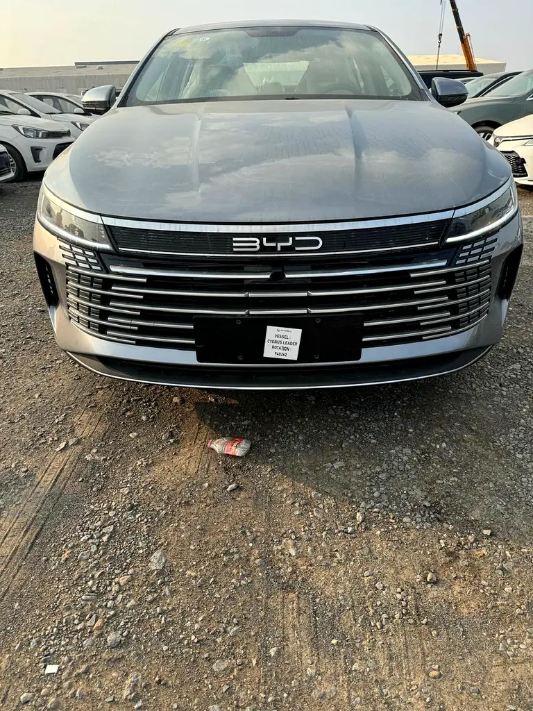 BYD Destroyer 05 - Image 4