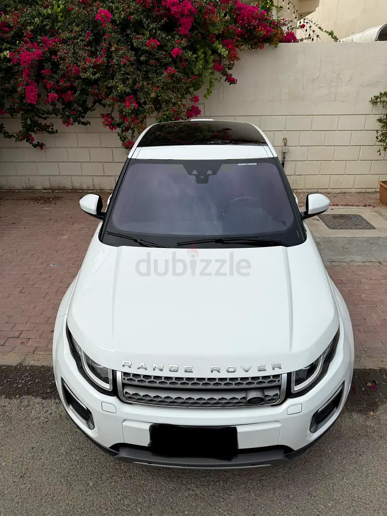 LADY DRIVEN - IMMACULATE - FSH AL TAYER - Image 4
