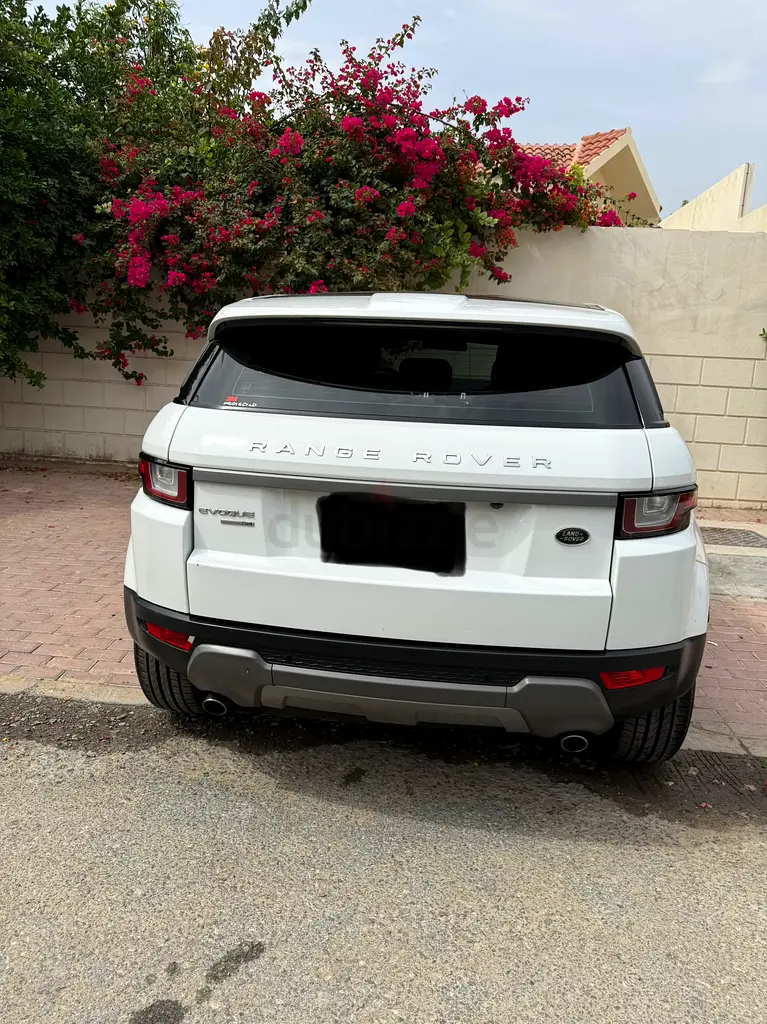 LADY DRIVEN - IMMACULATE - FSH AL TAYER - Image 5