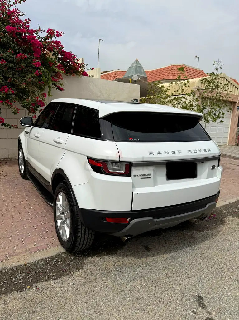 LADY DRIVEN - IMMACULATE - FSH AL TAYER - Image 6
