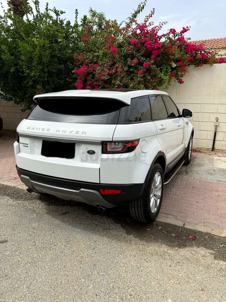 LADY DRIVEN - IMMACULATE - FSH AL TAYER - Image 7