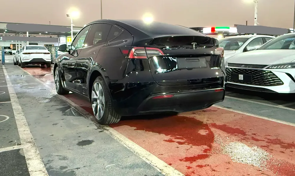 Tesla Model Y Standard 2022 - Image 5