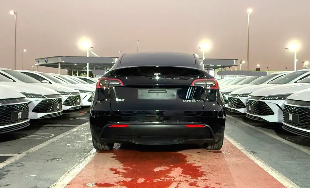Tesla Model Y Standard 2022 - Image 6