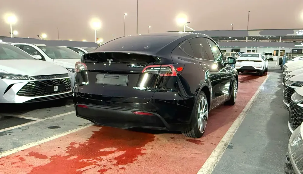 Tesla Model Y Standard 2022 - Image 7