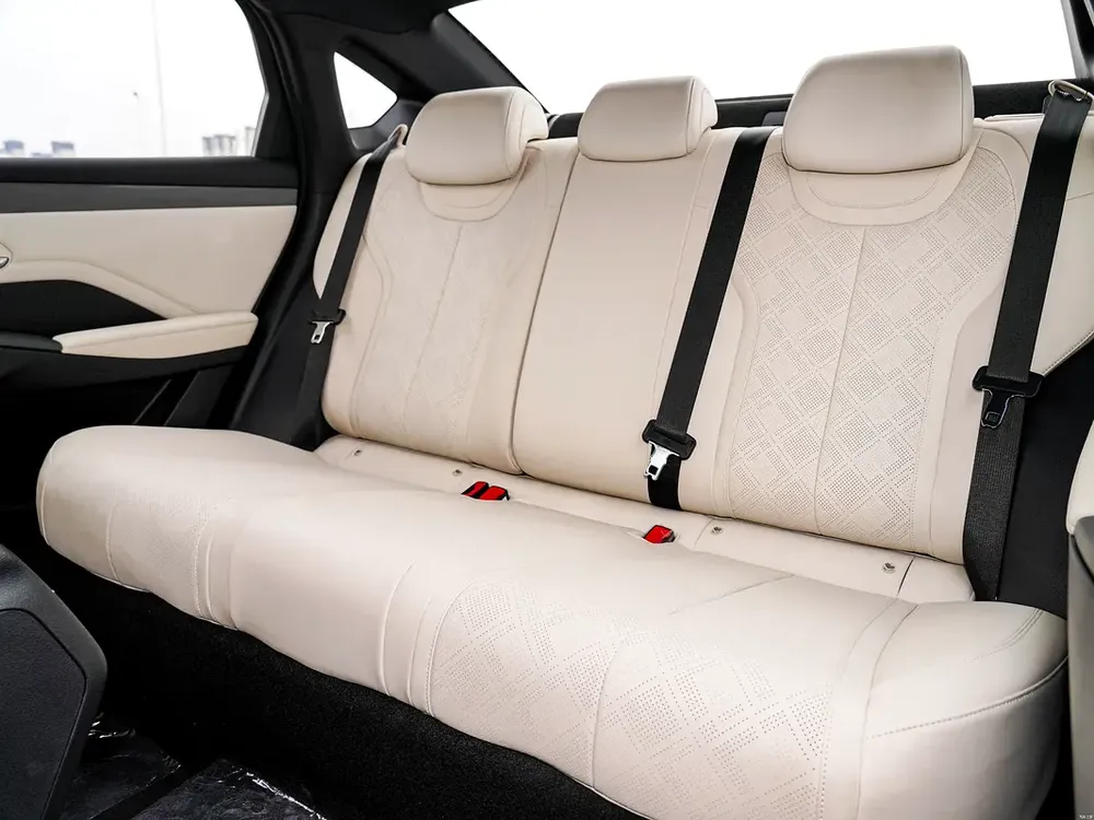 55KM Intelligent Drive Leading Model - Image 6