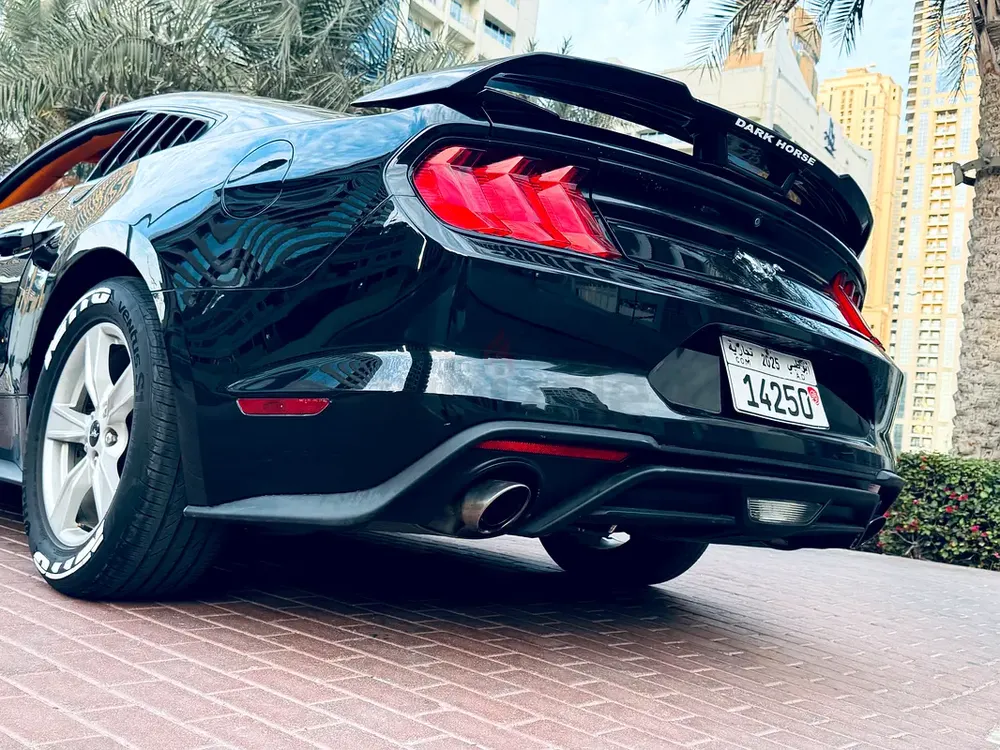 Body kit 2025 dark horse chassis warranty luxury interior - Image 5