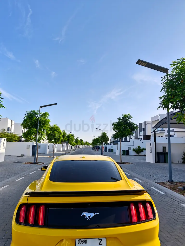 Located in Dubai | Ford Mustang Premium EcoBoost - Image 6