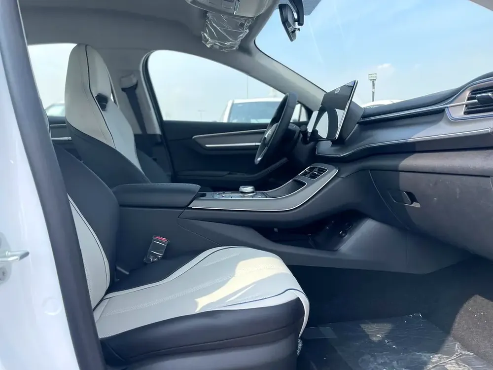 2025 BYD DESTROYER 05 1.5L PLUG IN HYBRID - Image 11