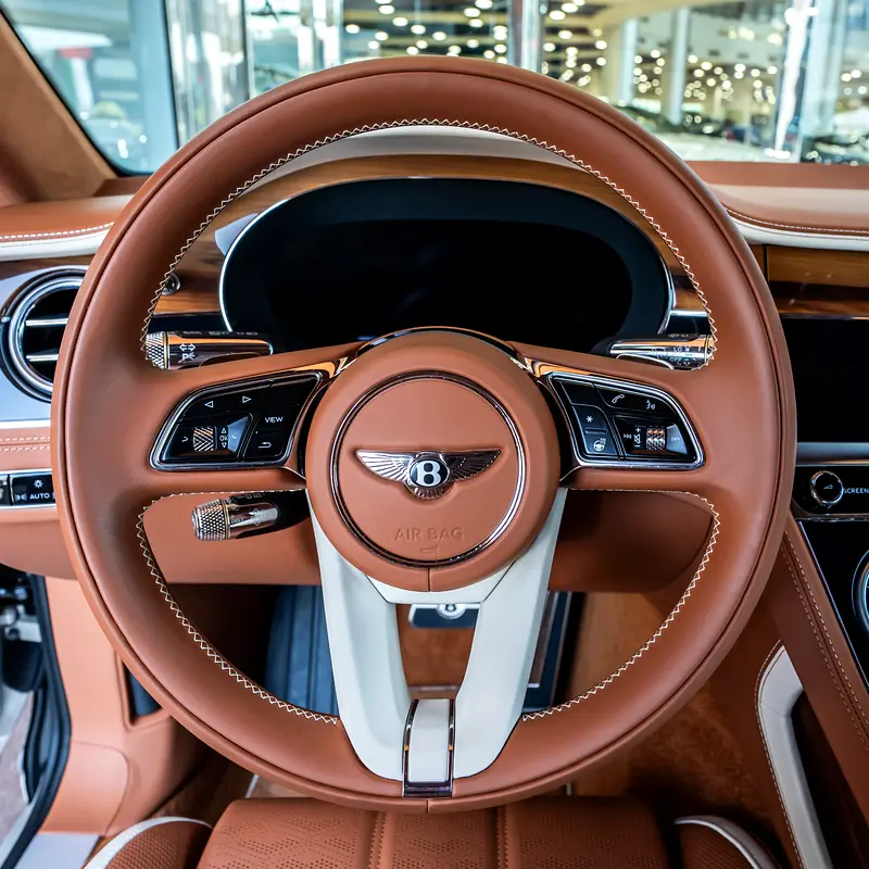 Bentley Continental GT Speed FIRST EDITION 2025 DONE ONLY 12,000KM - Image 17