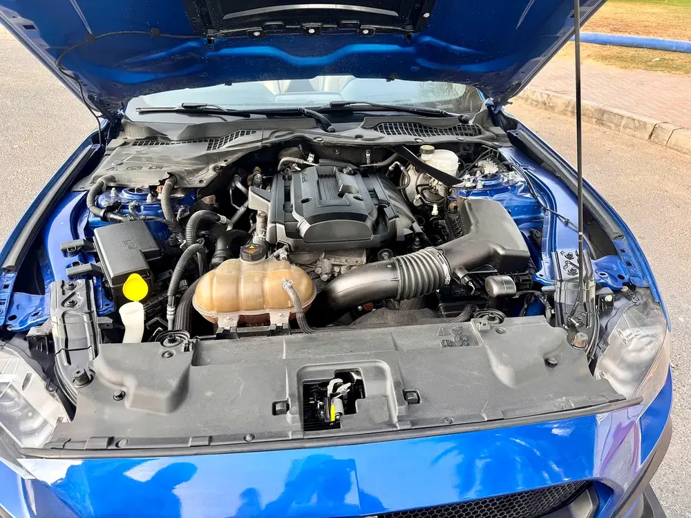 Amazing Ford Mustang Ecoboost Premium (2018) Ready to Drive - Image 10