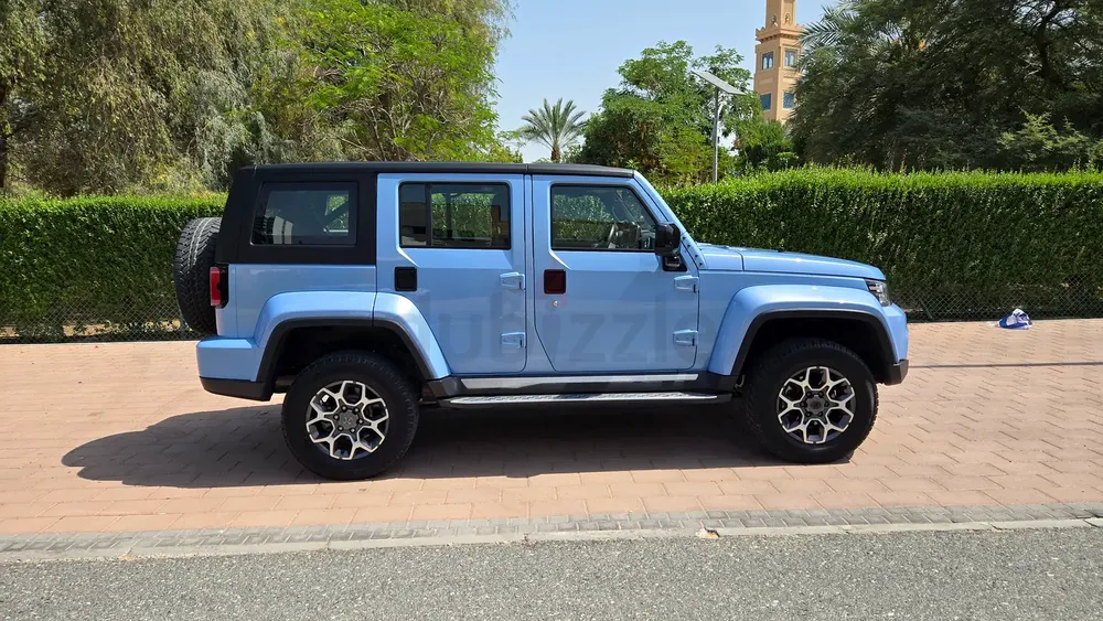 Beautiful Blue BAIC! :) - Image 4