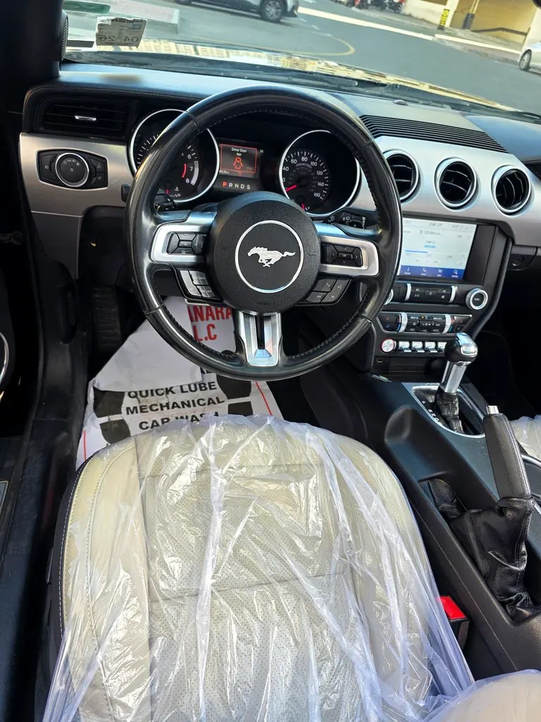 2020 Ford Mustang Ecoboost | American Specs | Pristine Condition - Image 10