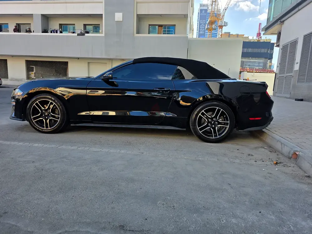 2020 Ford Mustang Ecoboost | American Specs | Pristine Condition - Image 7