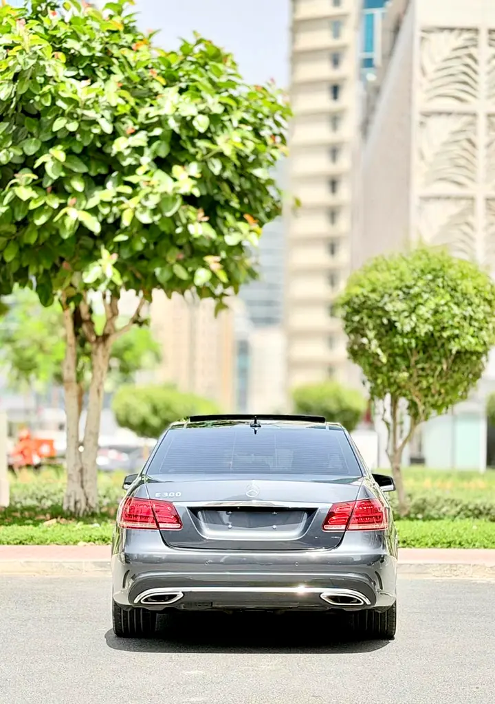 2014 Mercedes-Benz E-Class E 300 GCC Specs - Image 6