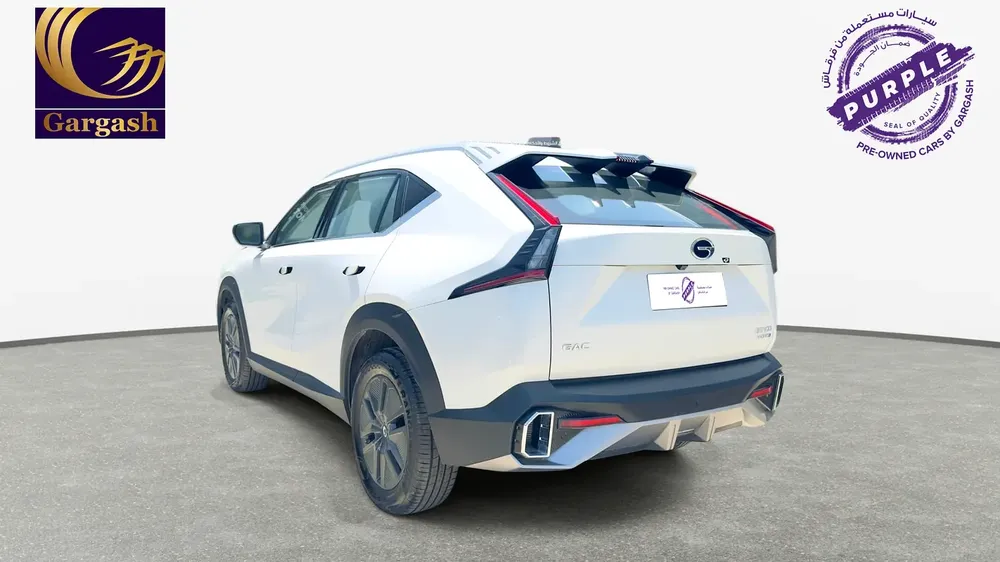 0% DP | AED 1,118 / Month | GAC | EMKOO GE 2.0 HYBRID | 2026 | Gargash Warranty | Service History - Image 5