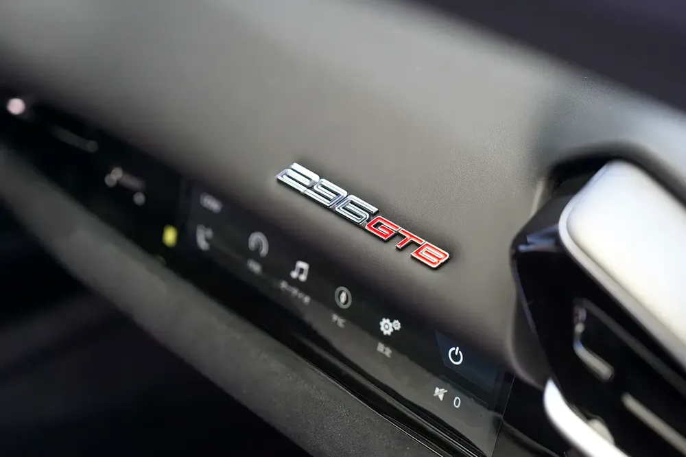 SERVICE AUG 2032 | CARBON EXTERIOR | 296 GTB - Image 10