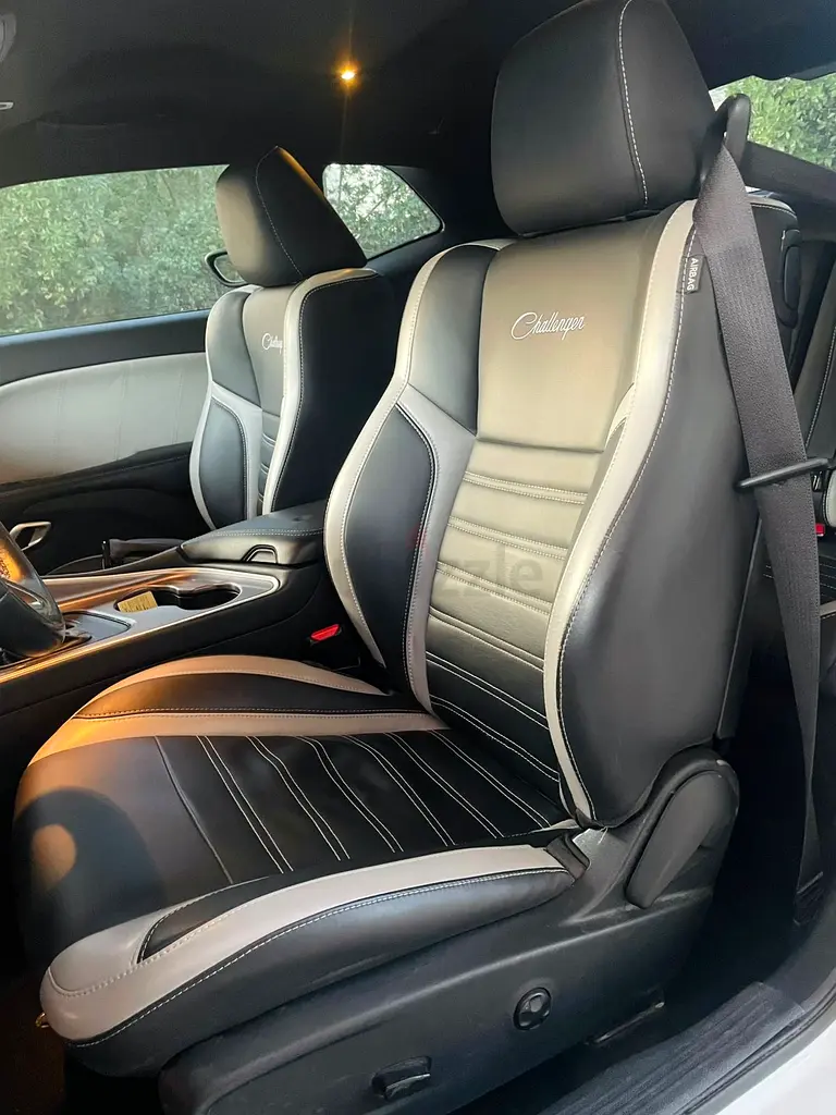 2019 Dodge Challenger RT for Sale - Image 11
