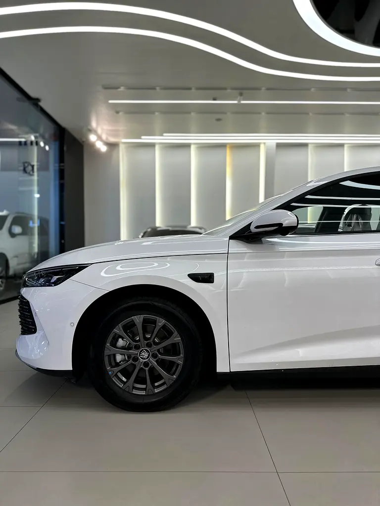 BYD Qin L DM-i 80km 2025  EVS warranty - Image 6