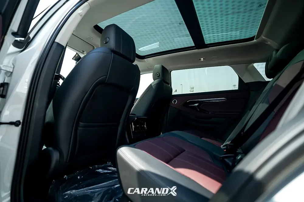 L249PS Luxury Edition 2.0L 2024 - Image 14