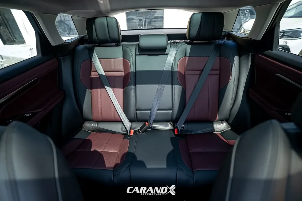 L249PS Luxury Edition 2.0L 2024 - Image 15