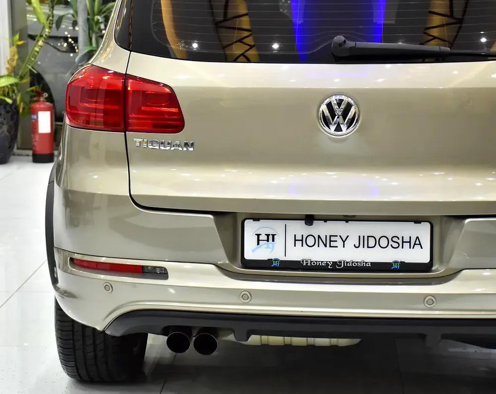 ORIGINAL PAINT ( صبغ وكاله ) Volkswagen Tiguan R-Line ( 2016 Model ) in Beige Color GCC Specs - Image 8