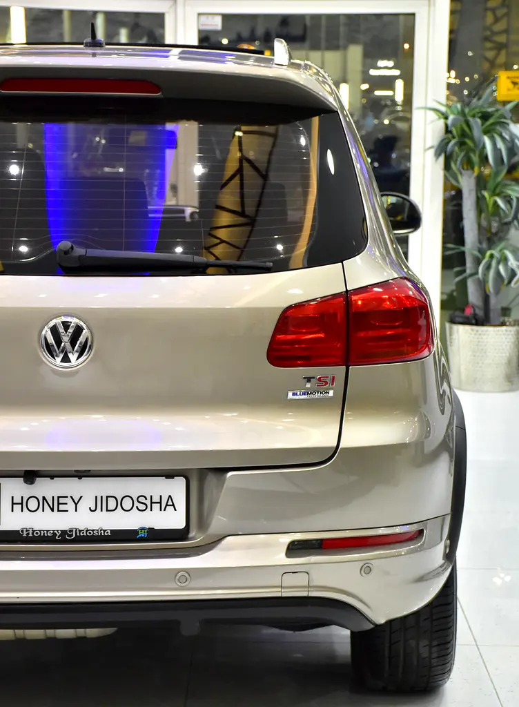 ORIGINAL PAINT ( صبغ وكاله ) Volkswagen Tiguan R-Line ( 2016 Model ) in Beige Color GCC Specs - Image 9