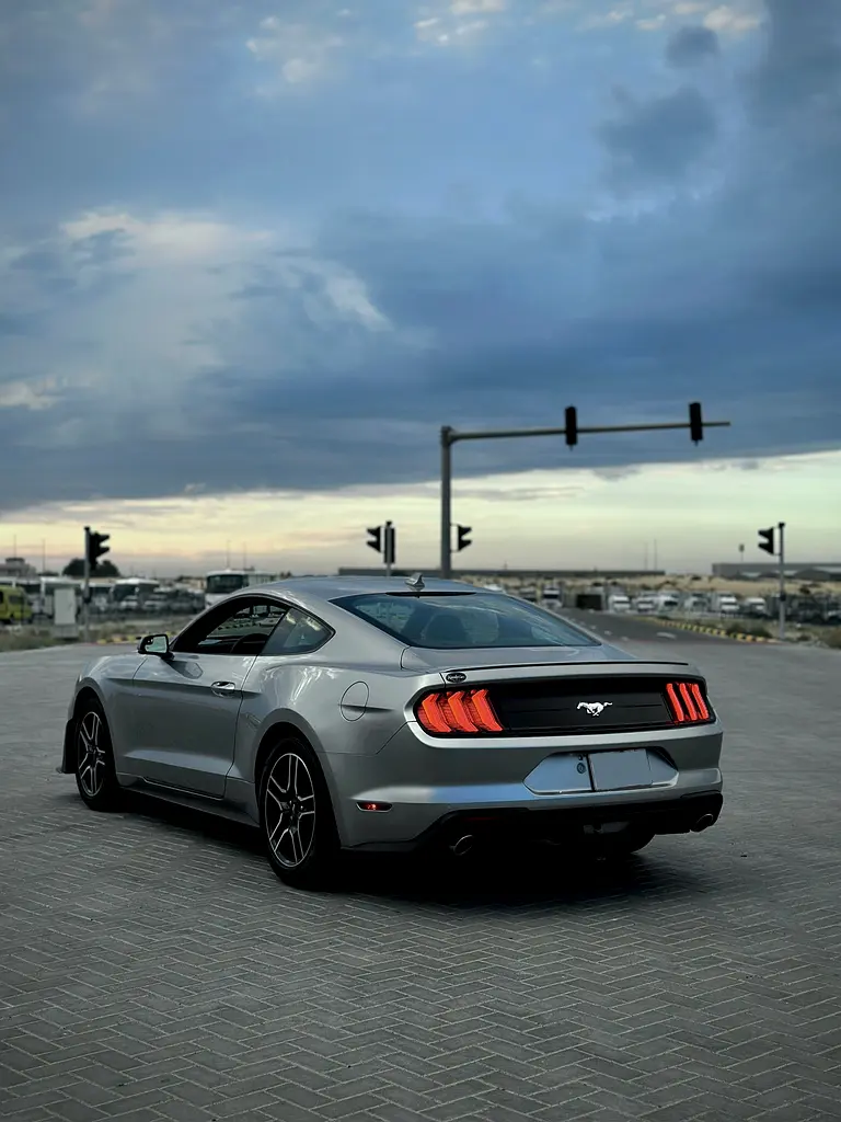 PREMIUM EDITION || V4 || NOT FLOODED - Image 4