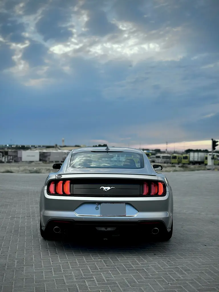 PREMIUM EDITION || V4 || NOT FLOODED - Image 5